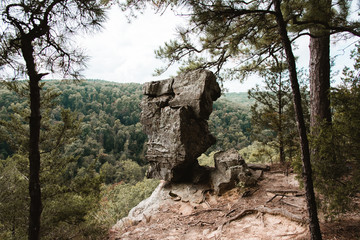 Poster - Hawksbill Crag Whitaker Point Hiking Trail in Arkansas near Fayetteville