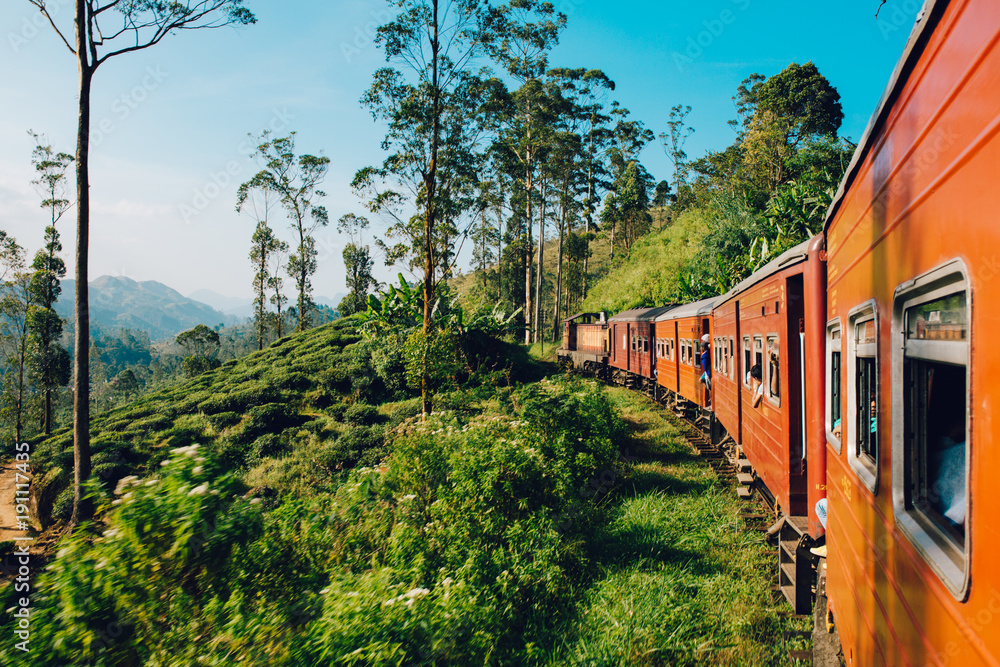 Best train ride in Sri Lanka - obrazy, fototapety, plakaty 