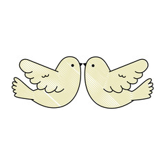 Sticker - couple doves flying icon vector illustration design