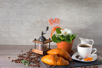 Coffee grinder, two buttery croissant , aroma coffee grains and flowers of primula on dark background.