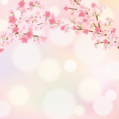 Naklejka na meble Materiał ramy kwiatu wiśni