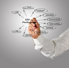 Wall Mural - erp functions.