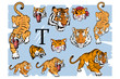 Tiger set, isolated on white background, colour illustration, suitable as logo or team mascot. Bengal Tiger.