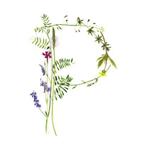 Floral Watercolor Letter P