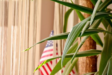 Wall Mural - Blurred American Flag in a flower pot 