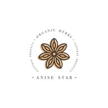 Packaging Design Template Logo And Emblem - Herb And Spice - Anise Star. Logo In Trendy Linear Style.
