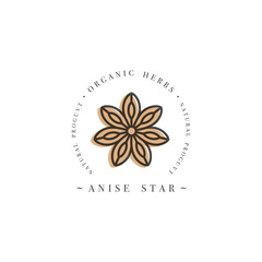 Packaging design template logo and emblem - herb and spice - anise star. Logo in trendy linear style.