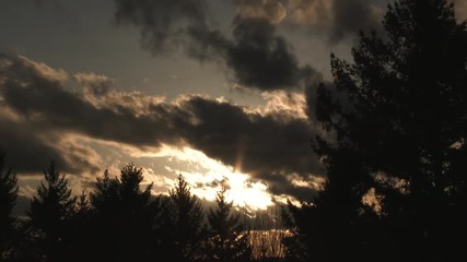 Wall Mural - Final sun light shines through clouds before the fall of night, time lapse with still forest trees.