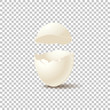 Broken empty eggshell isolated on transparent background. Vector realistic design element.