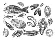 seafood sketch illustration