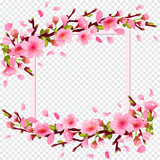 Realistic sakura japan cherry branch