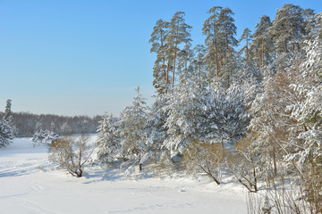 Wall Mural - Russia. Winter landscape