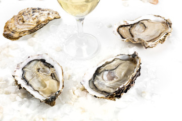  Closeup photo of oysters with wine