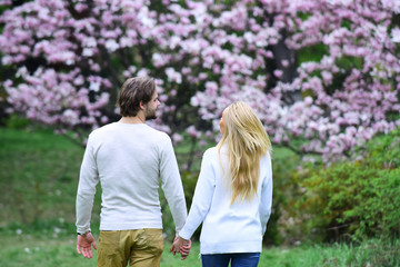 Wall Mural - Sensual couple hold hands in spring park, back view