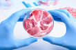 © nevodka.com - Whole meat sample in laboratory Petri dish. Cultured lab grown meat or meat examination concept.