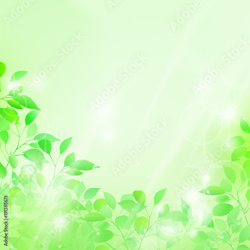 新緑 木漏れ日 背景 Stock Illustration | Adobe Stock