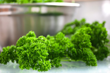 Green curly parsley leaves close-up