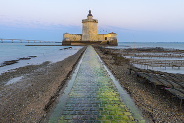 Fort Louvois at low tide, Charente-Maritime, France