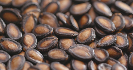 Canvas Print - Stack of Black Melon Seeds