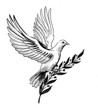 White Flying Dove With An Olive Branch
