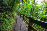 Fototapeta Do pokoju - Hike in Costa Rica