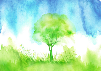 Watercolor summer landscape. Green, blue tree on a bright grass. Blue sky, clouds, rain. On a white background. A summer tree. Watercolor picture, logo, postcard