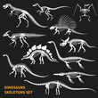 Dinosaurs Skeletons Chalkboard Icons Set
