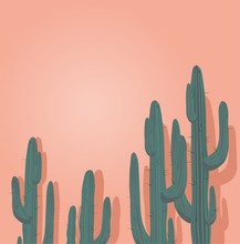 Cactuses. Vector Illustration	
