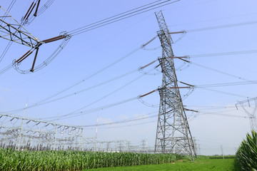 Wall Mural - High voltage towers in the fields