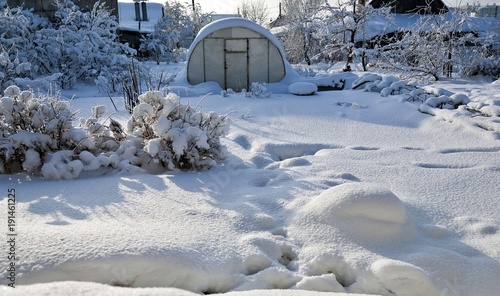 Plakat ogród pokryty śniegiem oświetlonym porannym słońcem