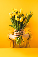 Close-up View Of Girl Holding Beautiful Yellow Spring Flowers On Yellow