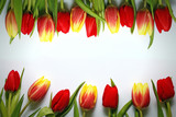 Fototapeta Tulipany - Frame of red and yellow spring tulips. Background to the International Women's Day - March 8! ..