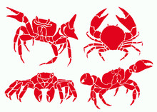 Graphical Set Of Red Crabs Isolated On White Background,vector Sea-food Illustration