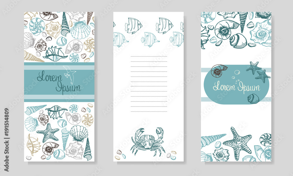 Seashells booklet design. Summer Sea Shells Banner Design. Hand Drawn Etching Style. Place for ...