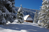 Fototapeta Fototapety góry  - Chatka na Rusinowej Polanie Zimą