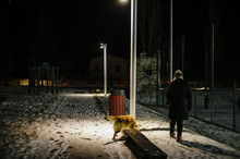 Woman Walks At Night With The Dog On A Leash Lit By The Light Of A Street Lamp, On The Snow-covered Avenue
