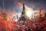 Fototapeta Miasta - Eiffel Tower during spring time in Paris, France