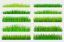 Spring Green Grass Borders Isolated On Transparent Background. Vector Illustration