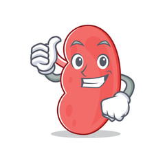 Sticker - Thumbs up kidney character cartoon style