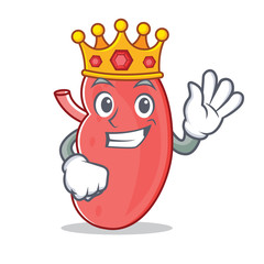 Sticker - King kidney mascot cartoon style