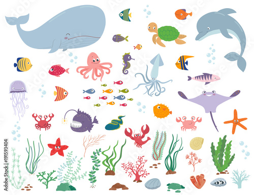 Sea animals and water plants. Cartoon vector illustration Wallpaper Mural