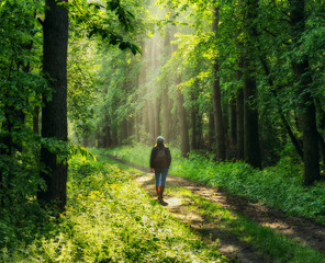 Wall Mural - spring forest. woman in a picturesque forest. beautiful sun rays