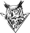 Owl in vector 