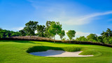 Fototapeta Miasto - The sand Bunker in golf course