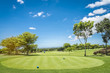 © APchanel - Green grass and trees at golf course with blue cloud sky background