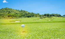 Golfing Free Stock Photo - Public Domain Pictures