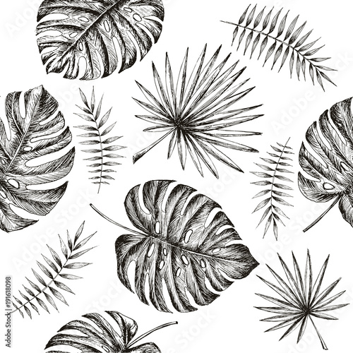 Naklejka - mata magnetyczna na lodówkę Tropical palm leaves design template.