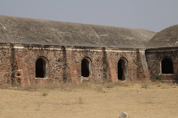 Wall Mural - vintage fort wall India