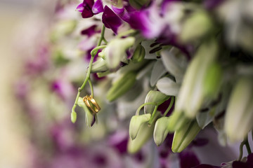 Two engagement rings or bands hanging from flowers buds