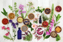 Natural Herbal Medicine Selection With Herbs And Flowers In Wooden Bowls And Loose, Glass Aromatherapy Essential Oil Bottles And Mortar With Pestle On Rustic Wood Background. Top View.